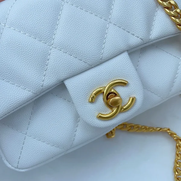 Chanel Fatty Fang Bag 8