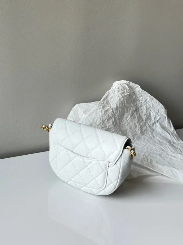 Chanel Saddle Bag 2