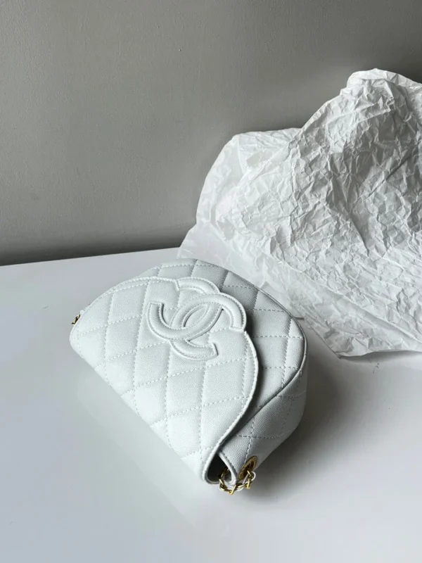 Chanel Saddle Bag 4