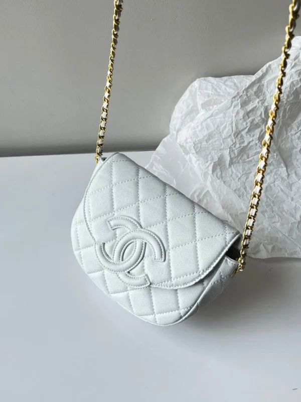 Chanel Saddle Bag 9