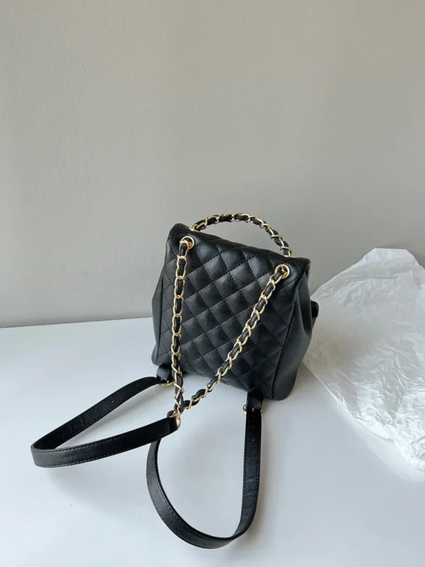 Chanel Small 23A Duma Backpack 5