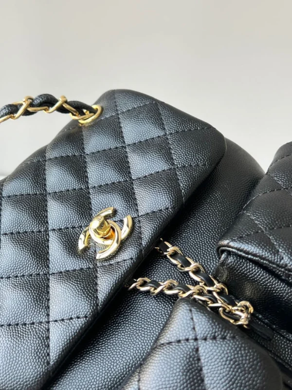 Chanel Small 23A Duma Backpack 9