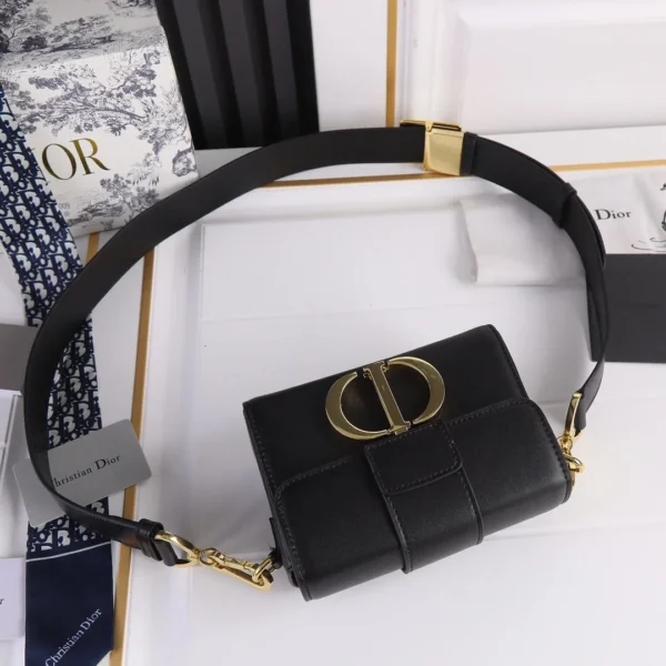 DIOR Montaigne Bag 3