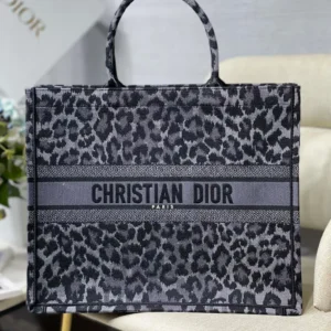 Dior Book Tote Bag