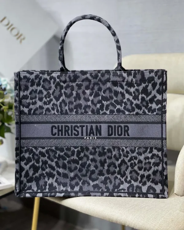 Dior Book Tote Bag