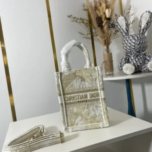 Dior Mini Book Tote Bag