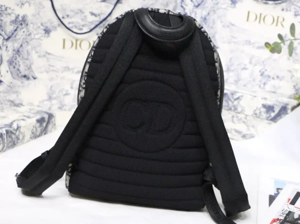 Dior Oblique Backpack 6