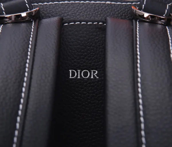 Dior Saddle Backpack 6