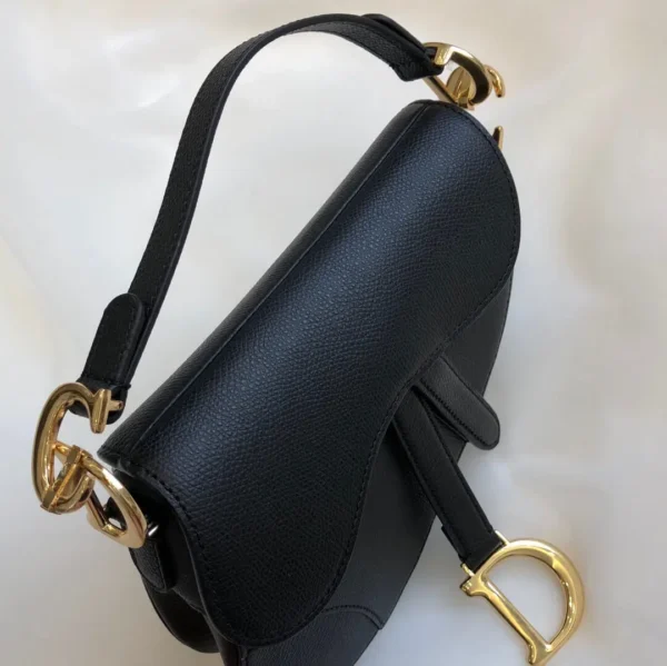 Dior Saddle Bag 2