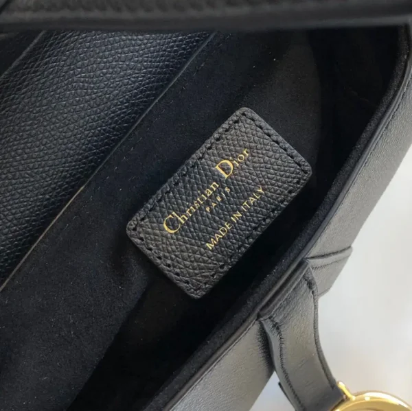 Dior Saddle Bag 6