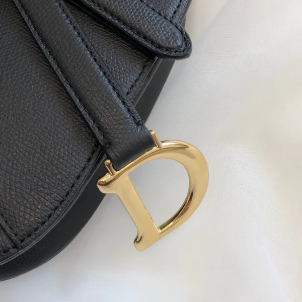 Dior Saddle Bag 9